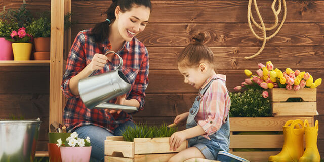De lente breekt aan - tijd om je tuin zomerklaar te maken!
