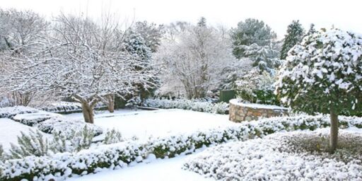 Tuinonderhoud in het najaar - tips voor je tuin winterklaar maken