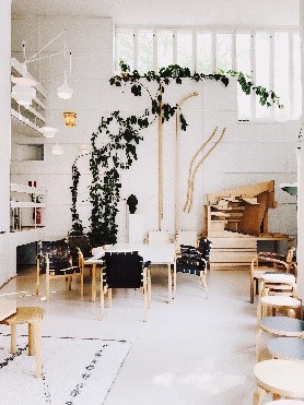 ruimte voor kamerplanten soorten