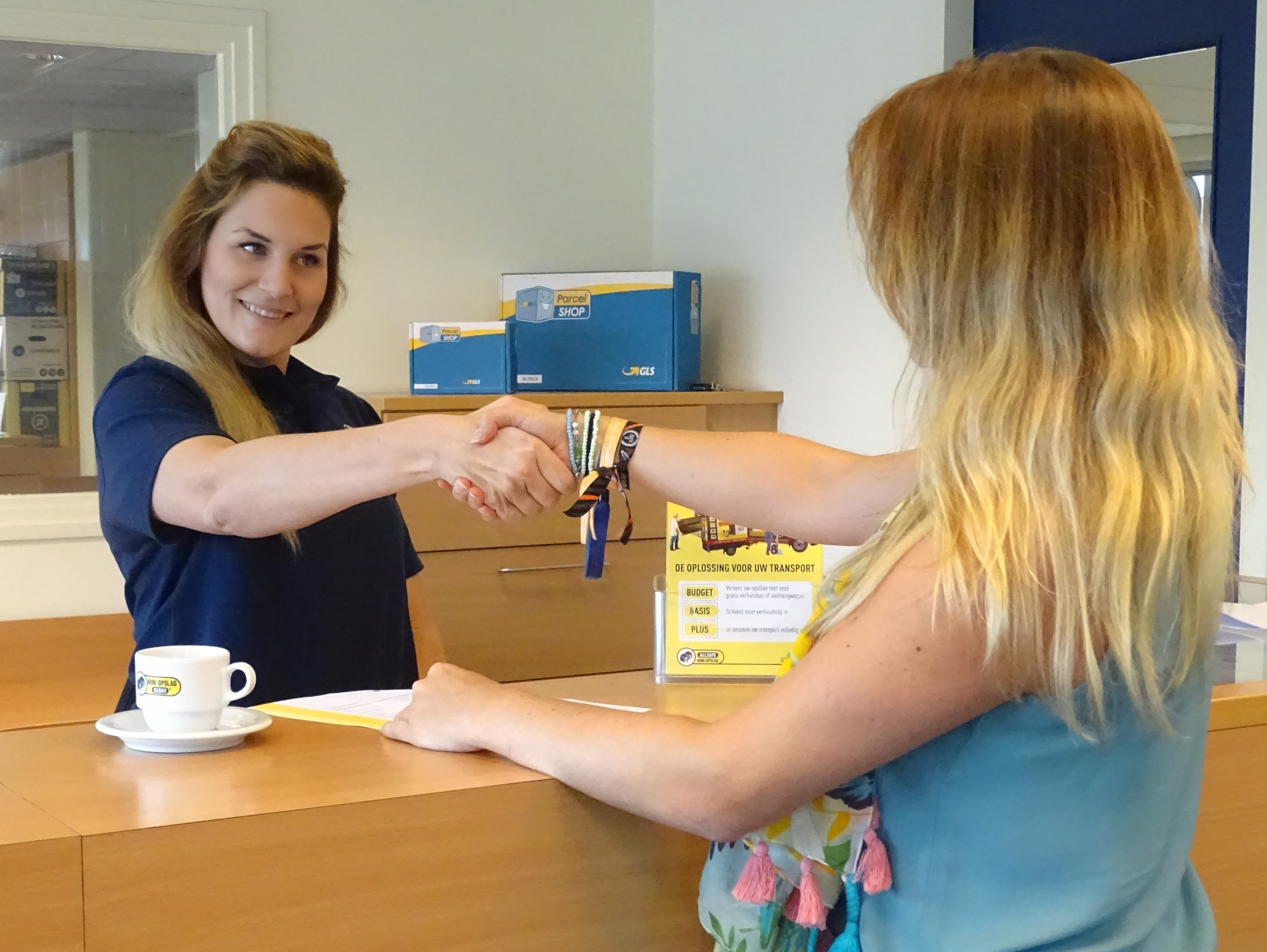 ALLSAFE Mini Opslag Geeft Ruimte