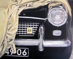 Olditmer Stalling ALLSAFE